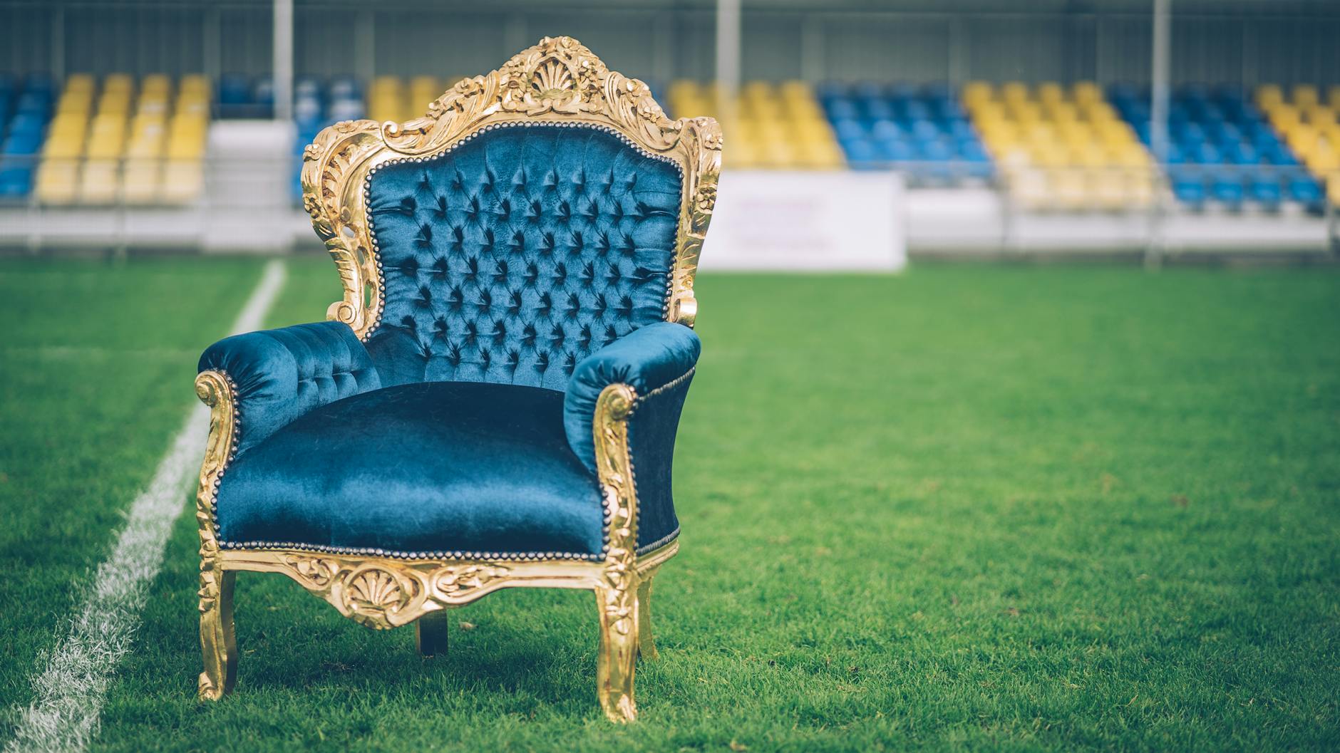 Luksusowy niebieski fotel VIP z złotymi detalami na murawie stadionu